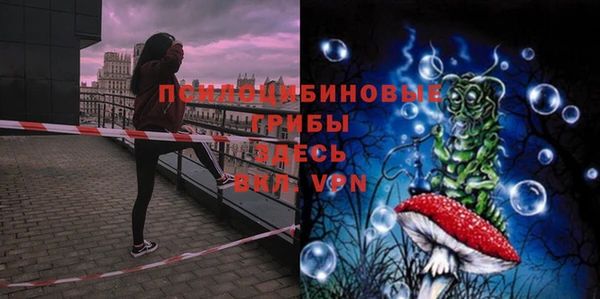 spice Вязники