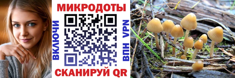 Галлюциногенные грибы Magic Shrooms Морозовск